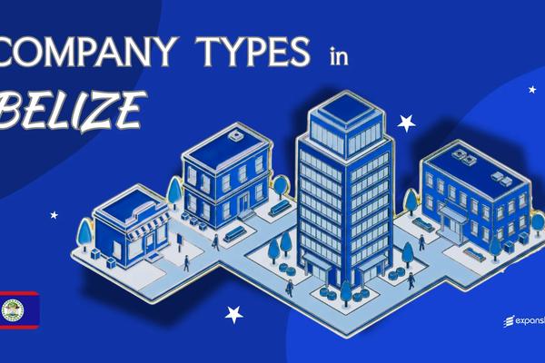 Company Types in Belize | IBC, BBC, LLC & 6 More Entities