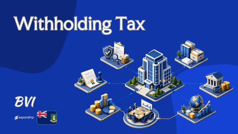 Withholding Tax in British Virgin Islands | What to Know