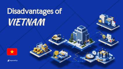 Cons of Incorporating in Vietnam | Key Drawbacks Explained