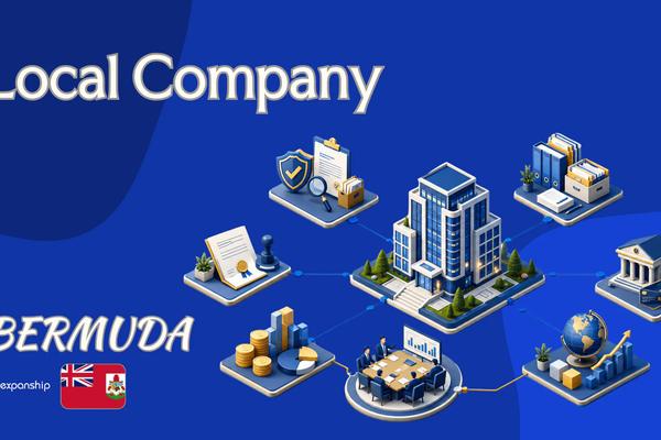 Bermuda Local Company: Structure, Uses, and Compliance