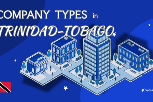 Types of Companies in Trinidad and Tobago | All 8 Types