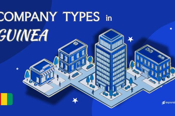 Company Types in Guinea | 7 Business Structures Reviewed