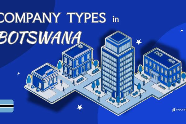 Types of Companies in Botswana | Full Entity Breakdown