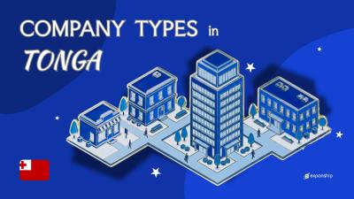Company Types in Tonga | Public, Private & Foreign Entities