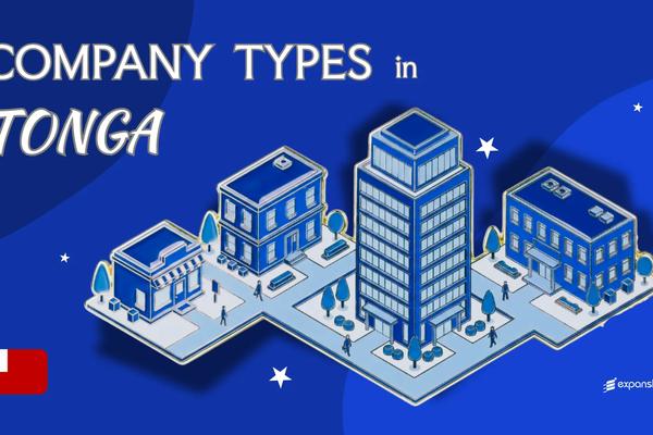 Company Types in Tonga | Public, Private & Foreign Entities