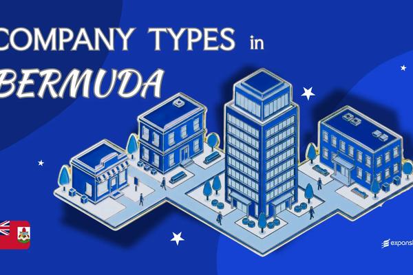 Company Types in Bermuda | 10 Entity Structures Compared