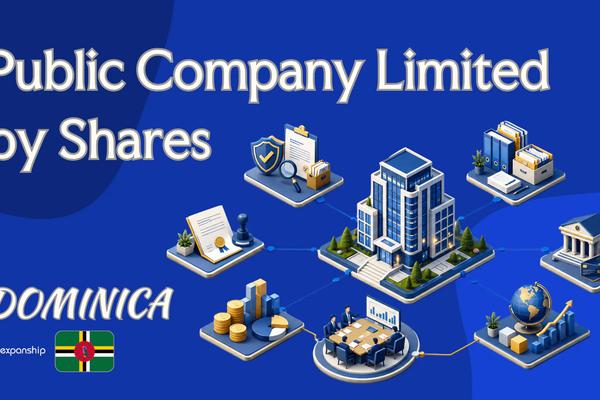 Public Company Limited by Shares in Dominica: Setup Basics
