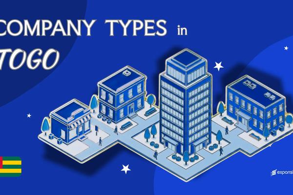 Company Types in Togo | 8 Business Structures Explained