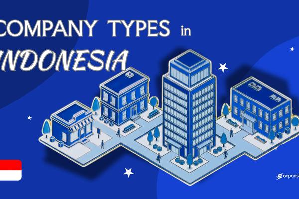 Company Types in Indonesia | 9 Business Structures Compared