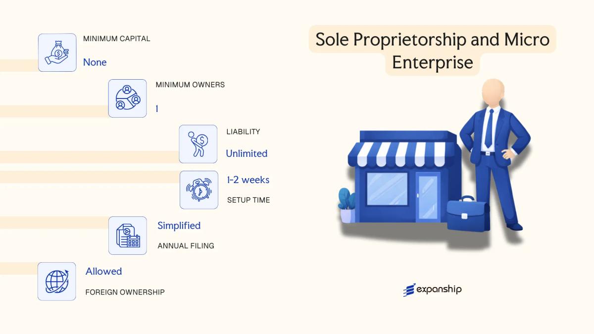 Sole Proprietorship and Micro Enterprise in Réunion - key features and requirements