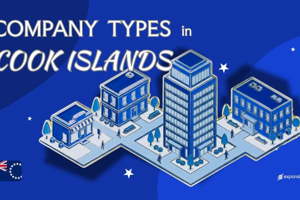 Company Types in Cook Islands | 9 Entities Explained