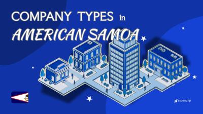 Types of Companies in American Samoa | Full Structure Guide