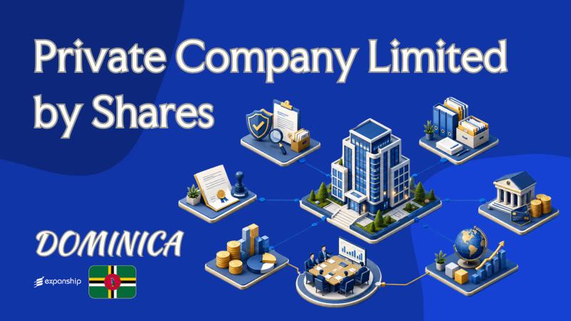 Private Company Limited by Shares in Dominica Explained