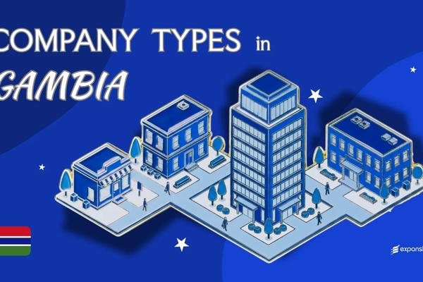 Company Types in Gambia | PLC, Partnership & Foreign Entry