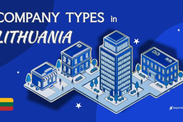 Company Types in Lithuania | 7 Business Structures Compared