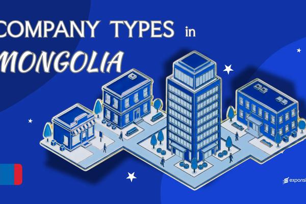 Types of Companies in Mongolia | 7 Entity Structures Covered