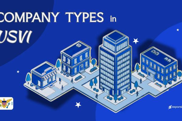 Company Types in U.S. Virgin Islands | LLC, Corp & More