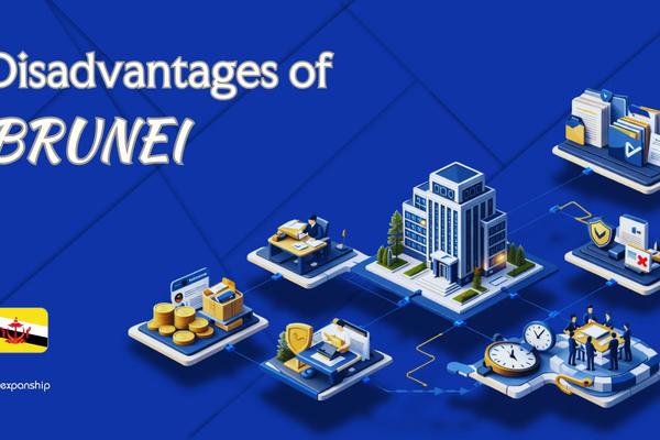 Cons of Incorporating in Brunei | Key Drawbacks Explained