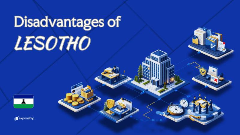 Disadvantages of Incorporating in Lesotho | 8 Drawbacks