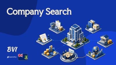 Company Search in the BVI: Records, Fees and Access