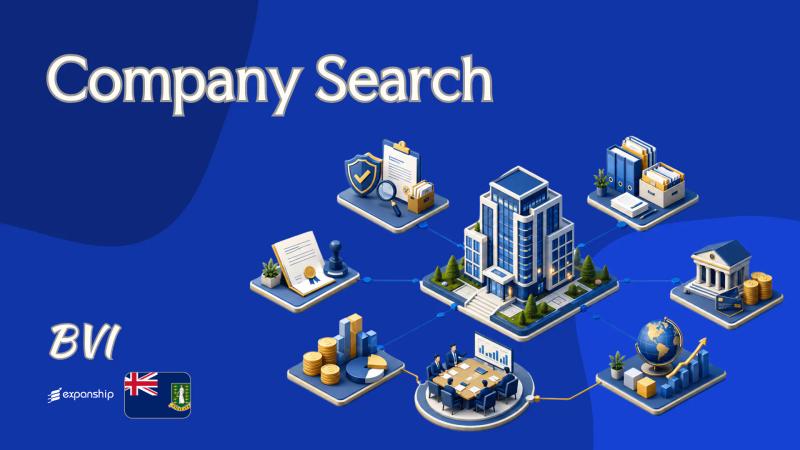 Company Search in the BVI: Records, Fees and Access