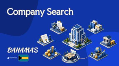 Bahamas Company Search: What Foreign Owners Can Find
