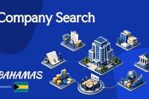 Bahamas Company Search: What Foreign Owners Can Find