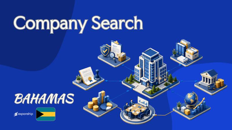 Bahamas Company Search: What Foreign Owners Can Find