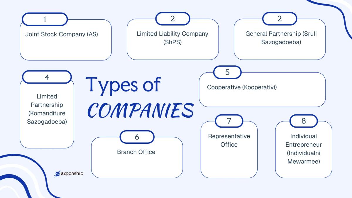 All types of business structures and entities available in Georgia