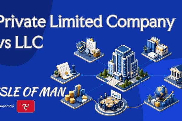 Isle of Man Private Limited Company vs LLC for Owners