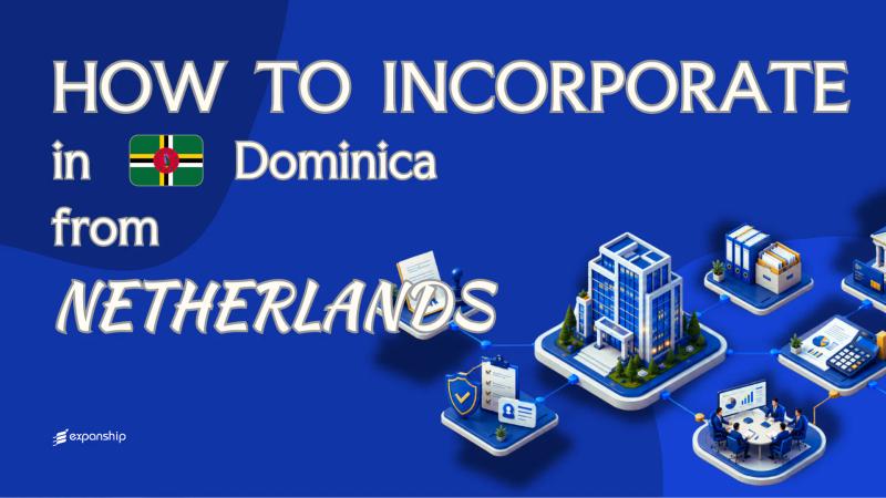 A Dominica Company from the Netherlands: Key Facts