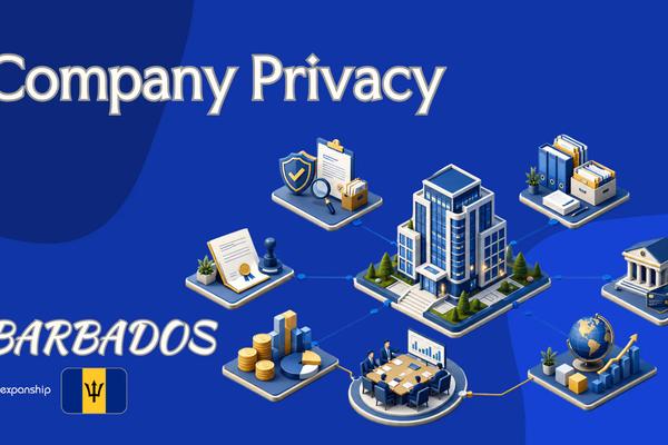 Barbados Company Privacy: What's Public vs Confidential