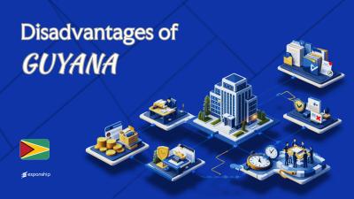 Cons of Incorporating in Guyana | What Investors Should Know