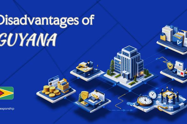 Cons of Incorporating in Guyana | What Investors Should Know