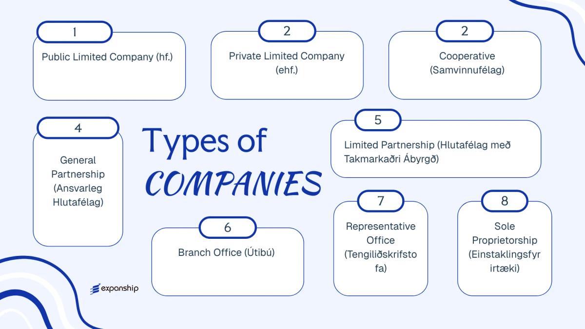 All types of business structures and entities available in Iceland