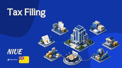 Income Tax Return for Niue Companies | Filing Guide
