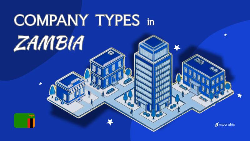 Company Types in Zambia | Private, Public & Foreign Entities