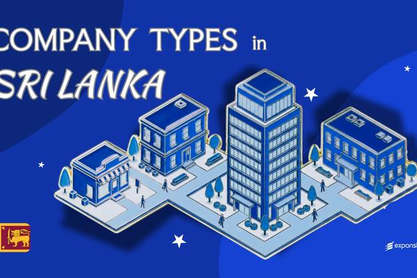Types of Companies in Sri Lanka | 10 Entities Explained