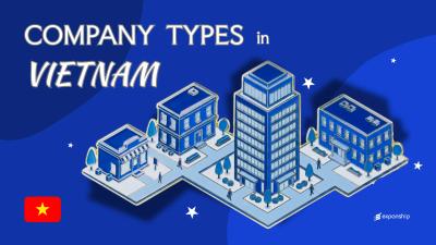Company Types in Vietnam | 12 Business Structures Explained