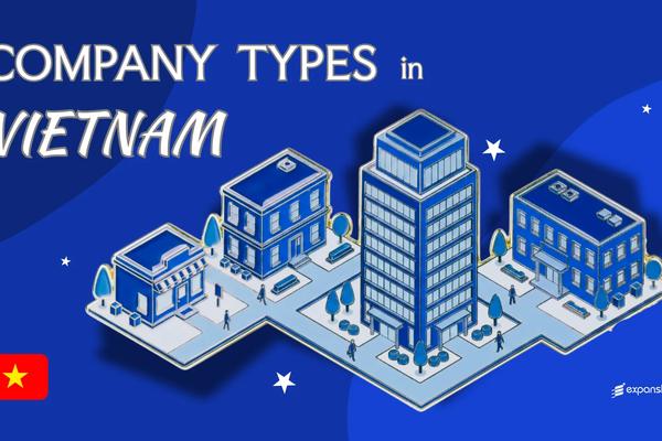 Company Types in Vietnam | 12 Business Structures Explained