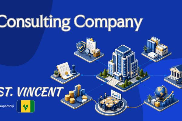SVG Company for Consultants | What Foreign Owners Know