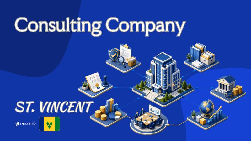 SVG Company for Consultants | What Foreign Owners Know