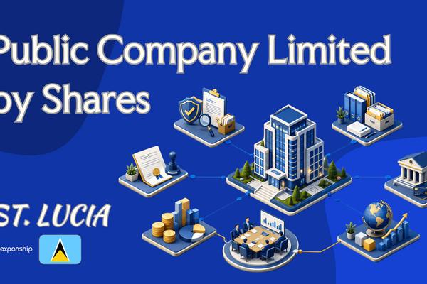 St. Lucia Public Company: Formation, Tax & Governance