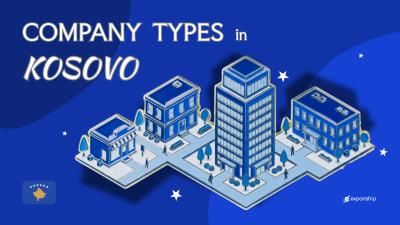Company Types in Kosovo | 7 Business Structures Explained