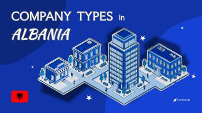 Company Types in Albania | 7 Business Structures Compared