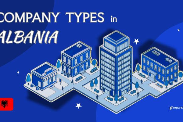 Company Types in Albania | 7 Business Structures Compared