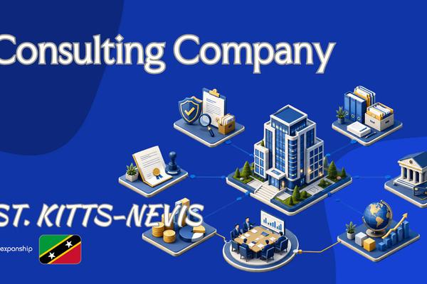 Consulting Company in St. Kitts and Nevis Explained