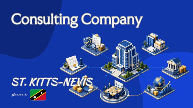 Consulting Company in St. Kitts and Nevis Explained