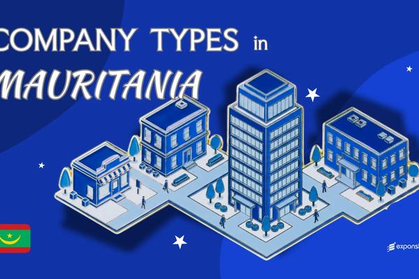 Company Types in Mauritania | 8 Entity Structures Compared