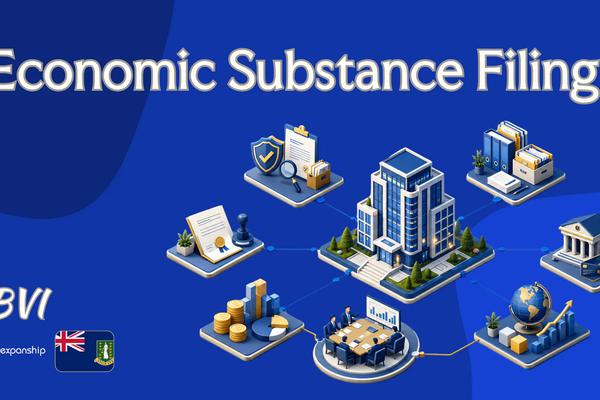 Economic Substance Return Filing in the BVI Explained